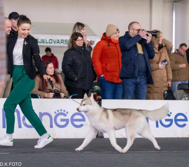 kretanje bjelovar miri.jpg